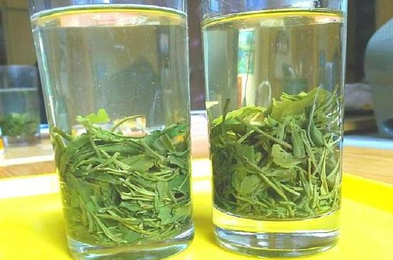 茶葉為什么不能亂送人，買茶葉一次送一盒還是兩盒