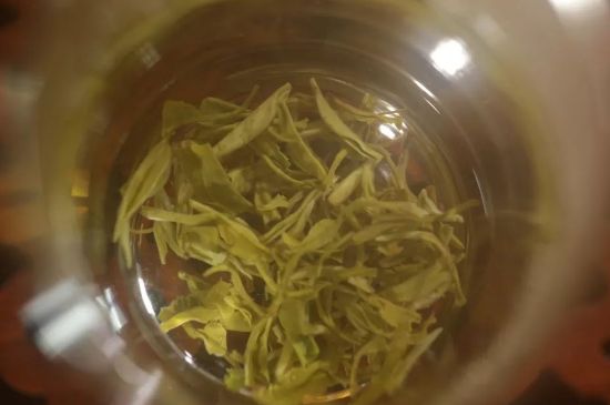 碧螺春正確泡法和飲用，碧螺春茶泡茶方法與溫度