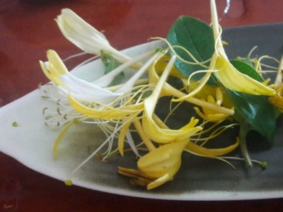 喝茶治口臭嗎，什么茶治口臭好？