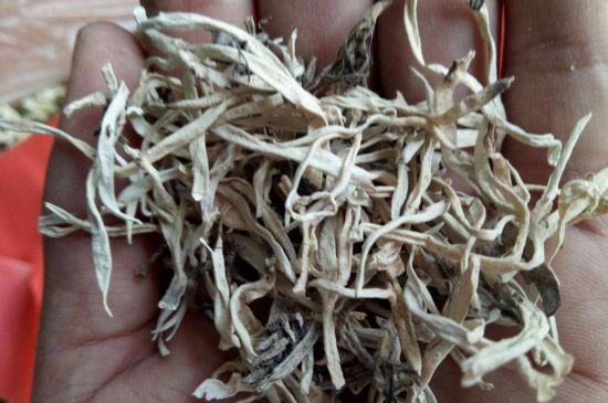 麗江雪茶的禁忌，白雪茶的副作用