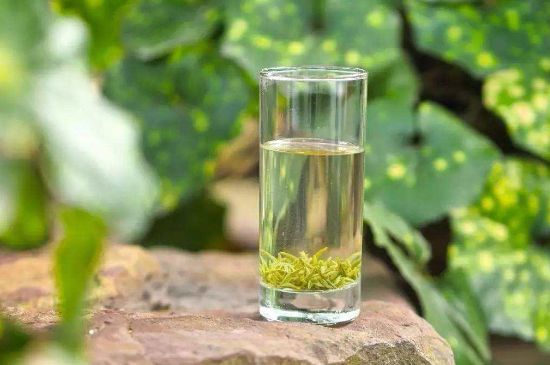 碧螺春沖泡三要素，碧螺春怎么泡才正確？