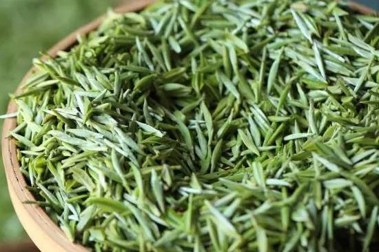 雀舌茶的沖泡方法，怎么沖泡雀舌茶？