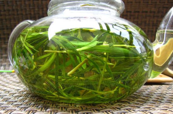 竹葉茶的禁忌，竹葉泡茶的功效禁忌