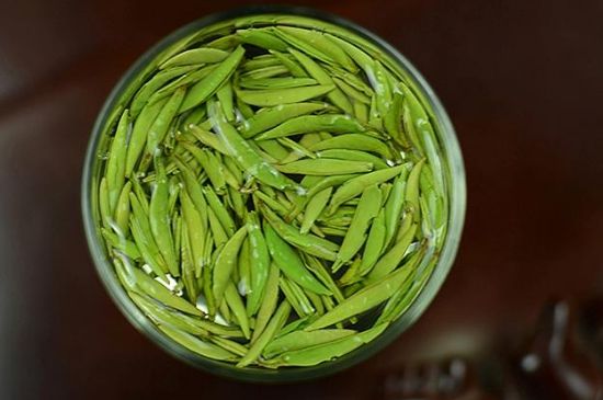 雀舌茶什么人不能喝，雀舌茶的功效與禁忌