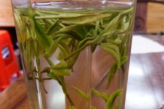 云霧綠茶的功效及禁忌，哪些人不適合喝云霧茶