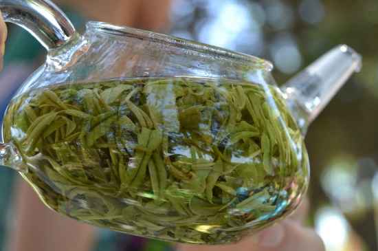 新手學(xué)泡茶的基本常識，從零開始學(xué)泡茶