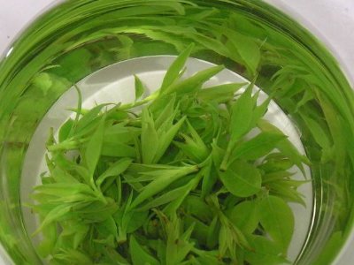 茶葉具有什么功效，茶葉的功效與作用大全