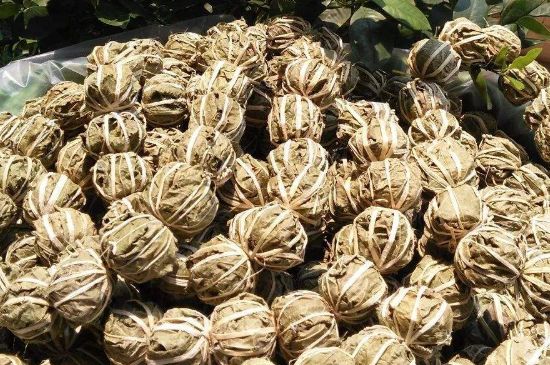 鷓鴣茶的禁忌，海南鷓鴣茶副作用