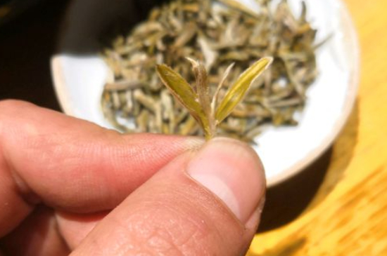 六大茶類哪種適合長(zhǎng)期存放，日常如何保存方法一覽？