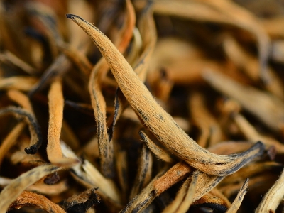 怎么知道什么茶葉適合自己，怎么判斷自己適合喝什么茶？