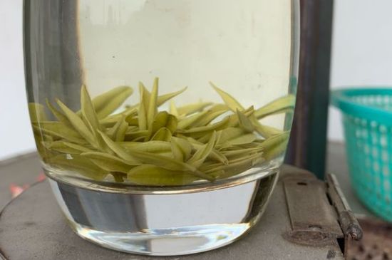 安吉白茶耐寒嗎，白茶適合放冰箱嗎