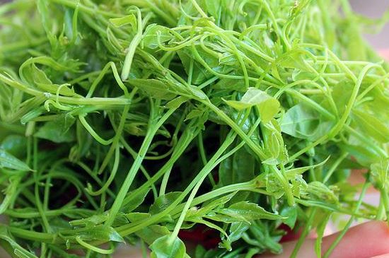 茅巖莓茶保質(zhì)期有多久，張家界莓茶存放時(shí)間長了還能喝嗎？