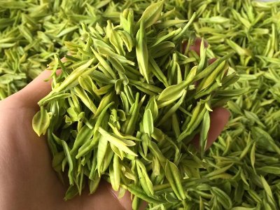 白茶品質(zhì)如何區(qū)分，白茶的優(yōu)劣質(zhì)量辨別方法