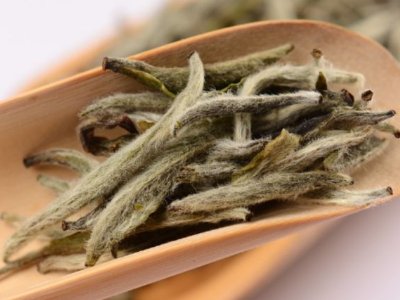 白毫銀針放幾年最好，白毫銀針什么年份最好？