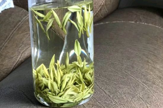 安吉白茶夏天怎么保存，安吉白茶能冷凍儲(chǔ)存嗎？