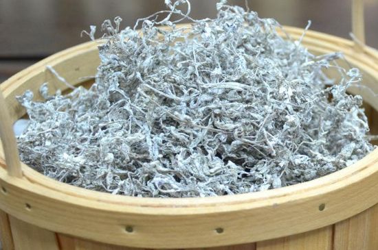 張家界莓茶真假對比，野生莓茶的鑒別方法