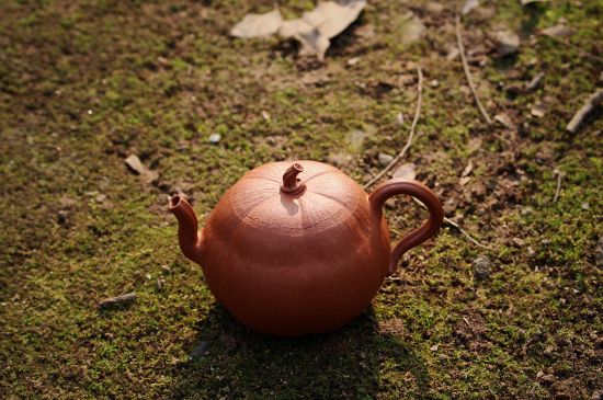 紫砂壺泡什么茶最佳，紫砂壺一般泡什么茶？