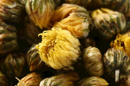 蒲公英搭配大全，蒲公英泡水喝的8種搭配