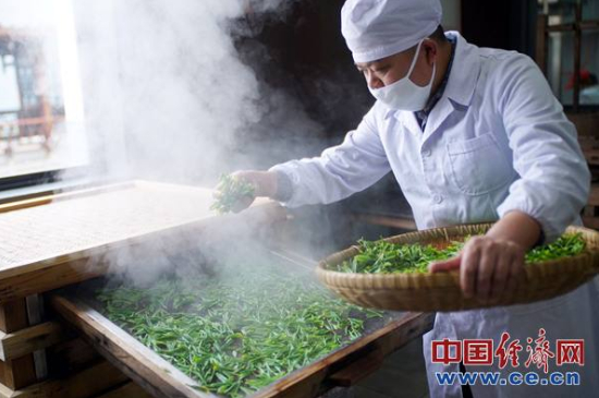 炒青綠茶與綠茶的區(qū)別，烘青和炒青哪個好喝？