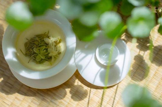 茉莉花茶6種人不要喝，什么體質(zhì)不適合喝茉莉花茶？