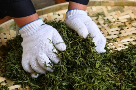 綠茶加工工藝流程圖，綠茶的加工制作包含哪幾個(gè)步驟？