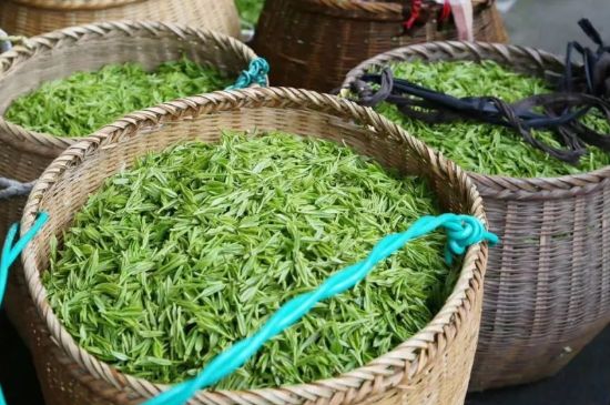 茶葉怎么炒制才香，怎樣炒茶葉更香？