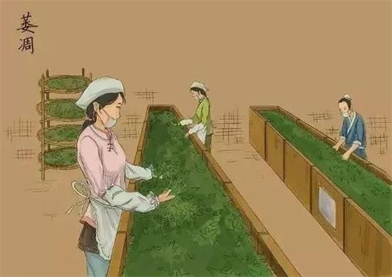 制茶八步驟，制茶工藝流程圖