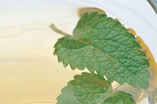 薄荷葉茶怎么制作，薄荷如何做成干茶葉
