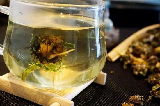 蒲公英最佳搭配，蒲公英茶和什么搭配泡水最佳