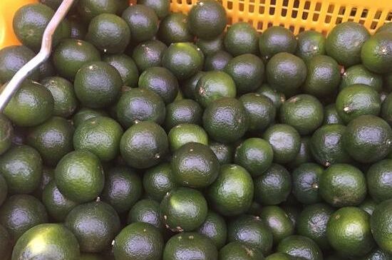 家庭自制柑普茶方法，小青柑制作9個(gè)步驟竅門（圖片）