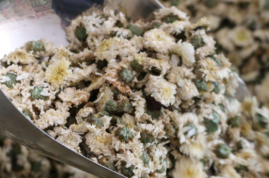 菊花茶買小朵還是大朵，泡茶用的小菊花和大菊花哪個(gè)好