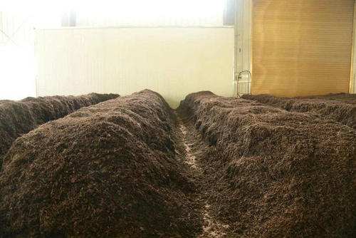 制茶八步驟，制茶工藝流程圖