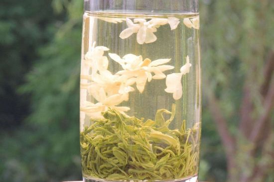 茉莉龍珠可以和什么一起泡茶，茉莉龍珠茶能加蜂蜜嗎？