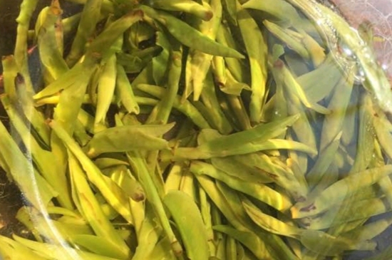 龍井是明前的好還是雨前的好，明前茶和雨前茶哪個(gè)好喝？