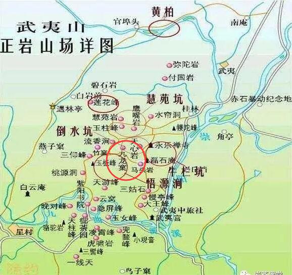 母樹大紅袍給誰喝了，為什么母樹大紅袍叫三棵六株？