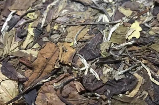 老白茶上火還是去火？夏季喝煮的老白茶會容易上火！