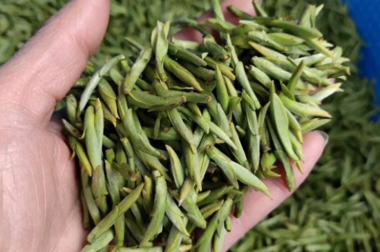 龍井茶好壞的鑒別圖片，如何區(qū)別龍井茶的好壞？