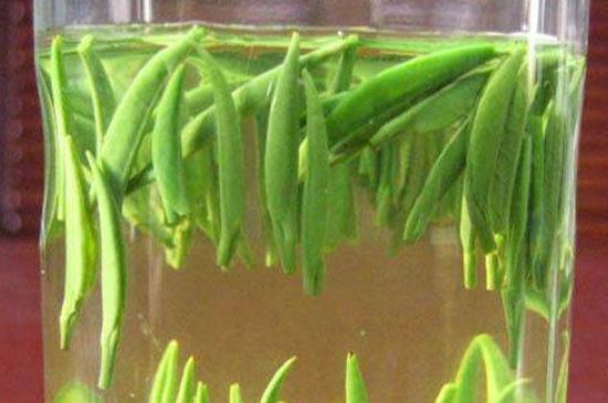 竹葉青和毛尖的區(qū)別，毛尖和竹葉青怎么分辨？