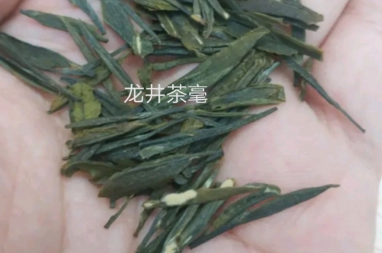 西湖龍井茶毫和發(fā)霉區(qū)別圖片，長霉的龍井茶葉會是什么樣？