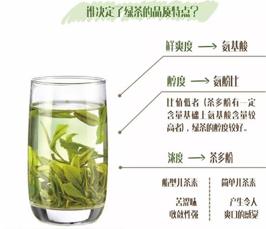 什么綠茶口味重口感濃郁，口味比較重的綠茶都有那些？