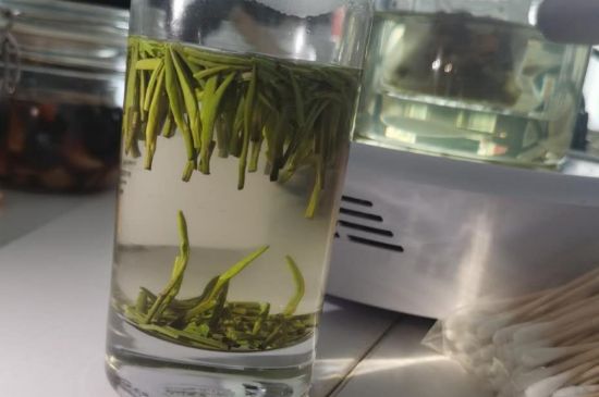 金壇雀舌算不算好茶，金壇雀舌屬于什么檔次茶葉？