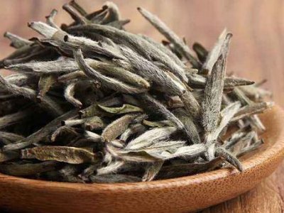 白茶有哪些品種排名，<a href=http://www.rhbjnk.com/fenlei/baicha/ target=_blank class=infotextkey>白茶的種類</a>大全