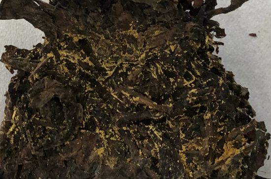 怎么知道涇渭茯茶是否變質，茯磚茶金花和發(fā)霉的區(qū)別