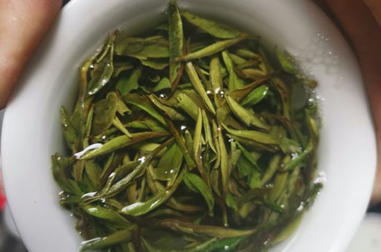 什么人不能喝白茶，白茶不宜什么人喝？