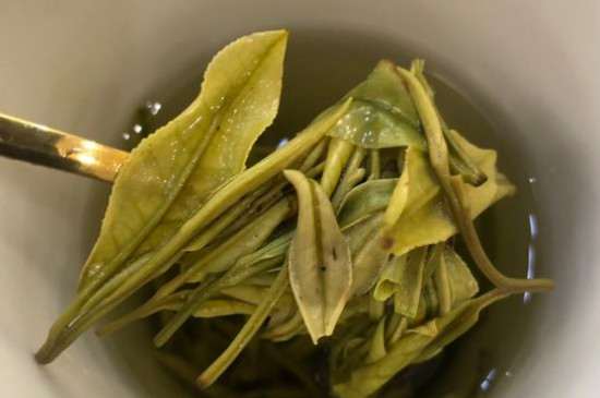 新舊白茶怎么區(qū)分，怎么分辨白茶是新還是舊