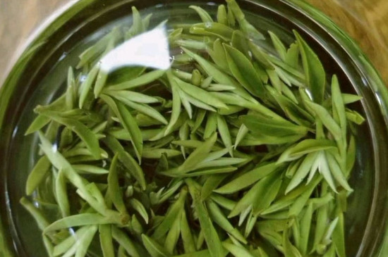 什么綠茶茶葉唇齒留香，哪個(gè)品種綠茶香氣好？