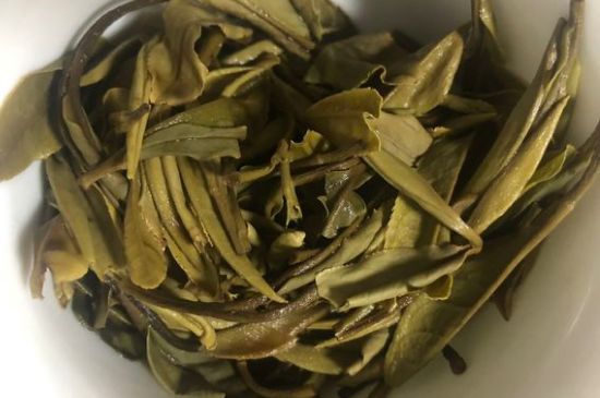 三年白茶賽砒霜，這是真的嗎？