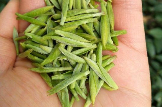 什么綠茶味道濃香，那個綠茶比較濃香？