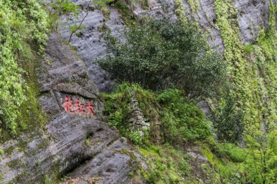 大紅袍為什么沒保質(zhì)期，武夷巖茶大紅袍能放幾年？
