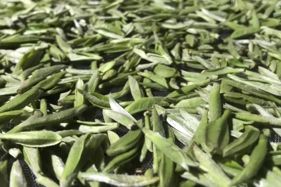 白毫銀針年份久的有什么香，陳年白毫銀針的香氣